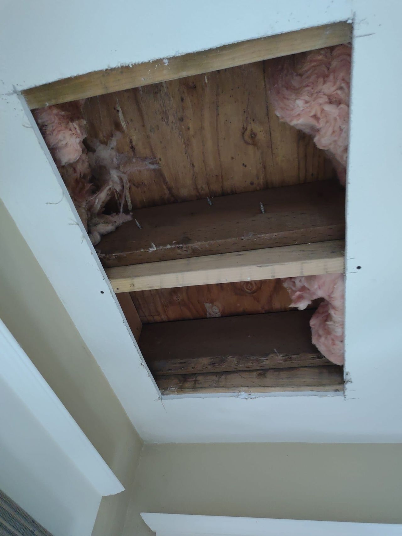 Rectangular section of ceiling cut out, with joists and insulation showing above