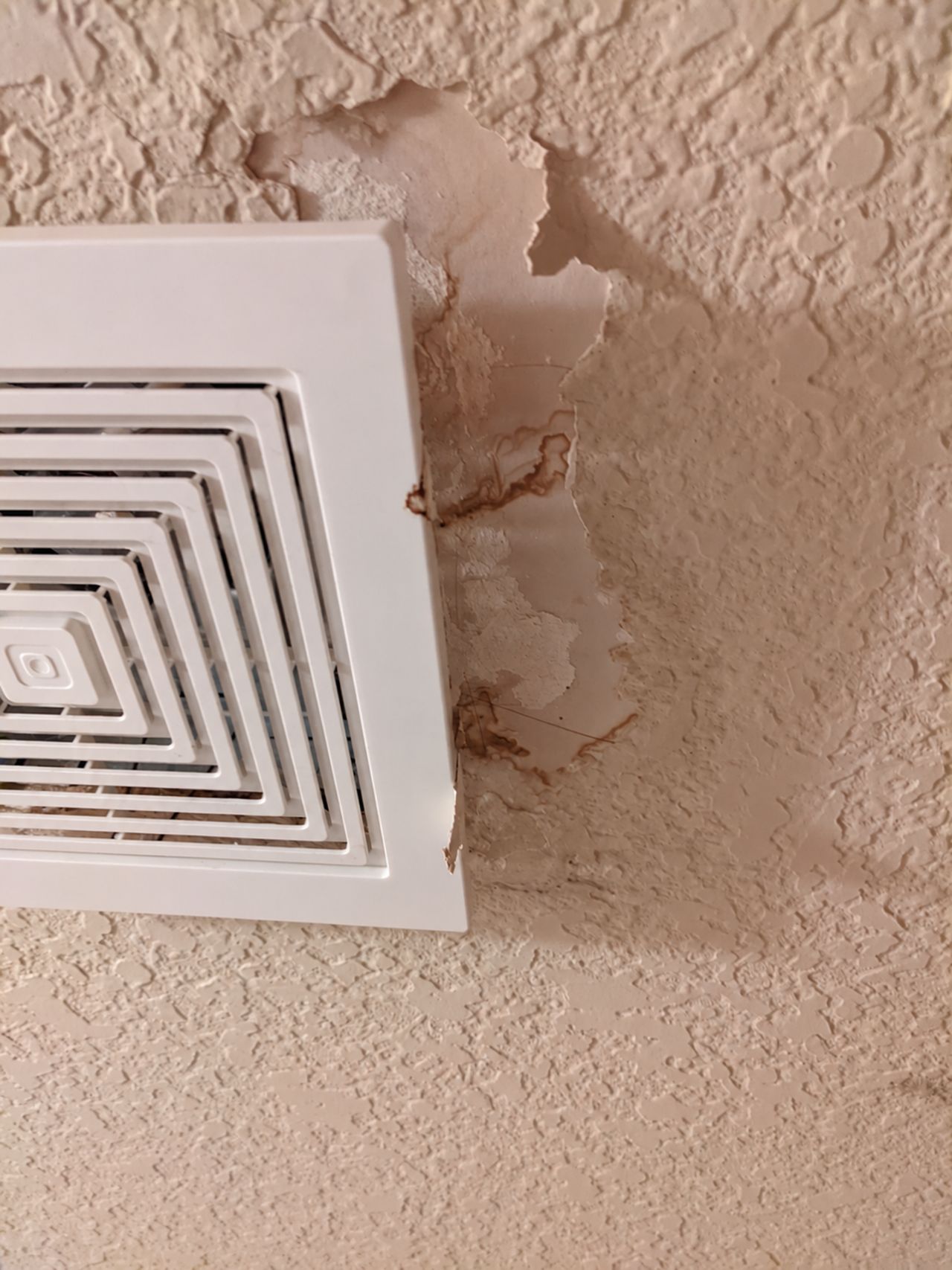 Peeling paint and stained texture around a bathroom ceiling vent
